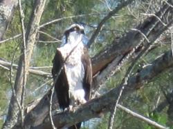 IMG_0005_4