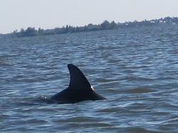 IMG_0027_3
